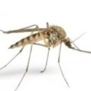 이촌사랑약국 이미지