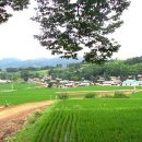 도덕2리 이미지