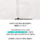 말렛 이미지