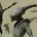 디자인커버넌트