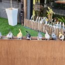 냐만 아는데 | 부천 원미동 냐만 아는데 - 맛있는 부천 애견동반 식당