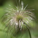 밀양댐생태공원 이미지