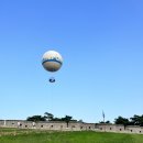 수원-1239 이미지