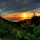 새천년농장 이미지