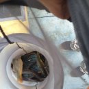 단강낚시터 이미지