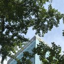 신관국민은행 | 2025 하반기 국민은행 청년 디지털 서포터즈 사전 연수 후기 / 웰컴 키트!!! ⭐️