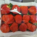 산촌분식