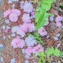 국민치과기공소 이미지