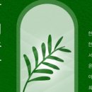 토레스트 이미지