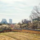 동춘당공원 맞은편 이미지