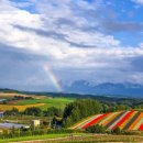 디럭스투어 주식회사 이미지