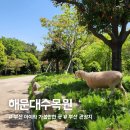 4호선 반여농산물시장역 | 해운대 수목원 나들이｜부산 무료 아이와 가볼만한곳, 양떼·염소떼 후기 및 산책코스 추천까지!”