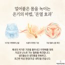 바른뿌리한의원 이미지