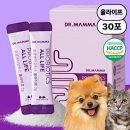 닥터맘마
