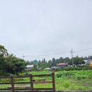 공동정호 이미지