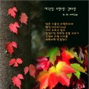 대구큰절 - 포항도량 - 감포도량 / 無一우학스님 (2009년 11월 4일) 이미지