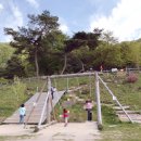 꿀꿀이목장 이미지