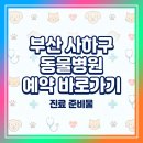 한솔동물병원 | 부산 사하구 동물병원 예약 바로가기 (+진료 준비물)