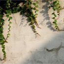 작은산대 이미지