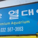 젊은열대어 이미지