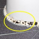 계룡호스릴-20 | 주택 대청소(화장실,베란다) 후기｜시작 전에 이 3가지만 준비하면 반은 끝나요