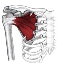 오아시스헬스 이미지