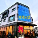 바이노넨
