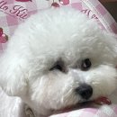 멍언니 쌀롱 이미지