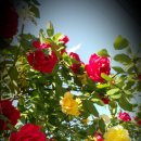 시화문화마을문화관 이미지