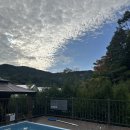 바다숲 | 서울근교 가족숙소 추천, 포천 ‘숲에서만난바다’ 풀카라반 솔직후기🌲