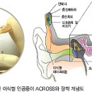 기술과친절 이미지
