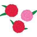 일러스트 캘리그라피 이미지