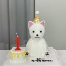 간식잇댕 | 광주 강아지 생일케이크, 수완지구강아지케이크, 첨단강아지케이크 간식잇댕 후기