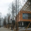 국세청앞 이미지