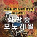 도척면 도웅리 269-1 | 화담숲 단풍 시즌 방문기 🍁 예약 꿀팁부터 코스 추천까지 (당근 암표거래 입장불가 찐 후기)