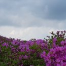 좋은아침 이미지