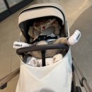 발포133 | 육아일기#20[129~143] 전신두드러기, 크리스마스, 잠퇴행끝, 스타필드 나들이