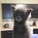 한양대입구 이미지