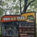황령산유원지 생태숲(상부) | [부산 황령산] - C코스 야간산행 / 황령산 유원지 생태숲 주차장 / 정상 가는법