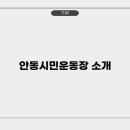 안동시민운동장 이미지