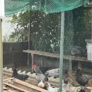 설악슈퍼 - 속초시 중앙시장로 116 | 가평 설악 테슬라 슈퍼차저 후기 (위치, 주차비용)