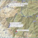 순천-38호 이미지