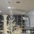 고양이카페 네이버블로그