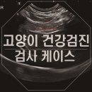 탄방메디칼 이미지