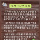 지수초등학교 이미지