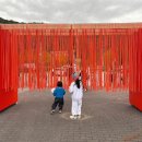 선인목장 | 춘천 애니토이페스티벌 2025 행사 일정표 주차 푸드트럭 즐기고 온 후기