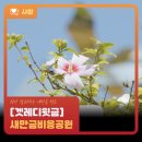 만금태양광발전소 이미지