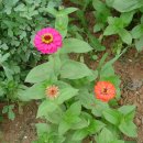 광생약국 이미지