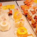 페이장초이 이미지