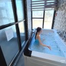 니시스파펜션 이미지